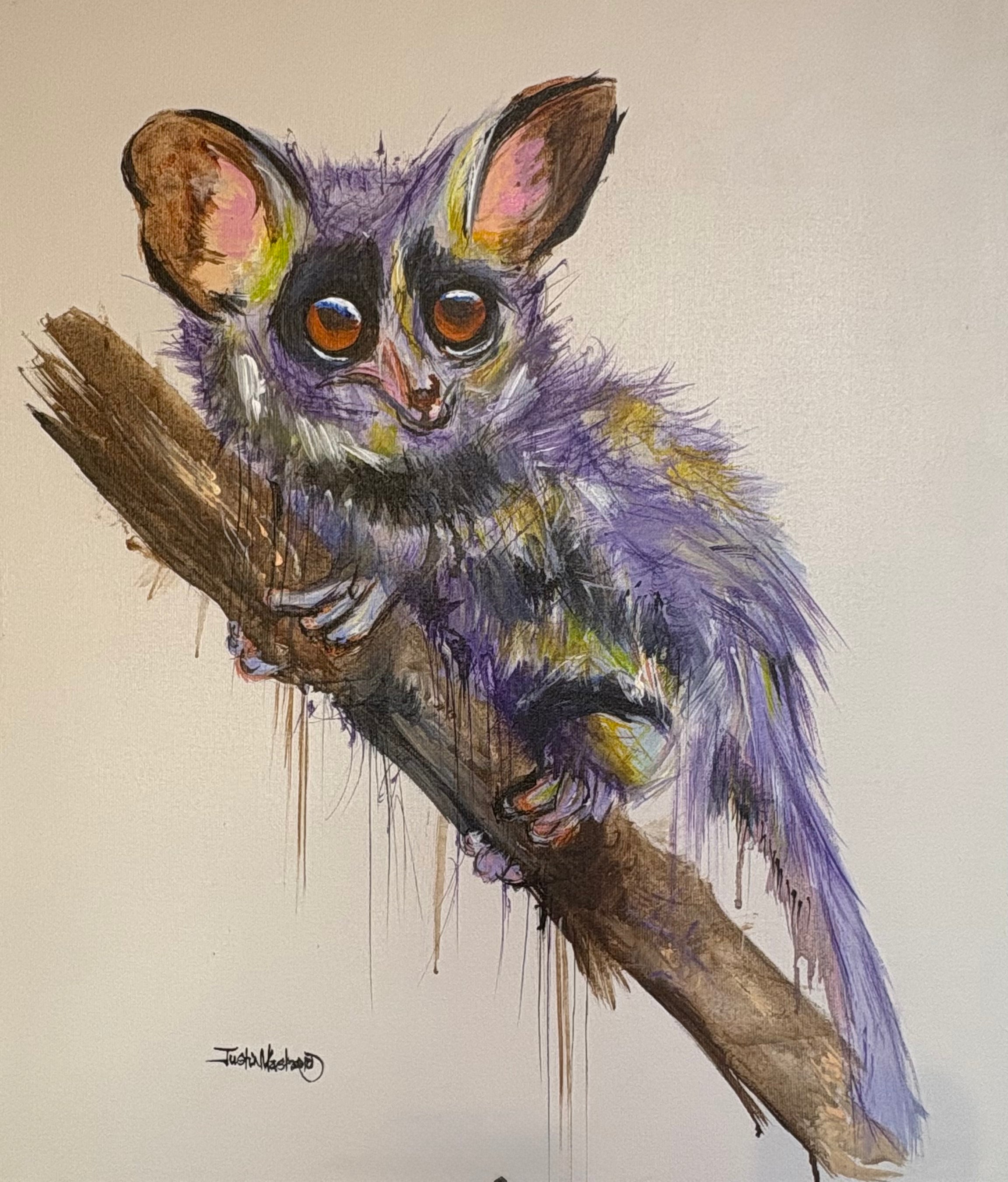 Bushbaby